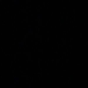 Meet your Posher, Tom